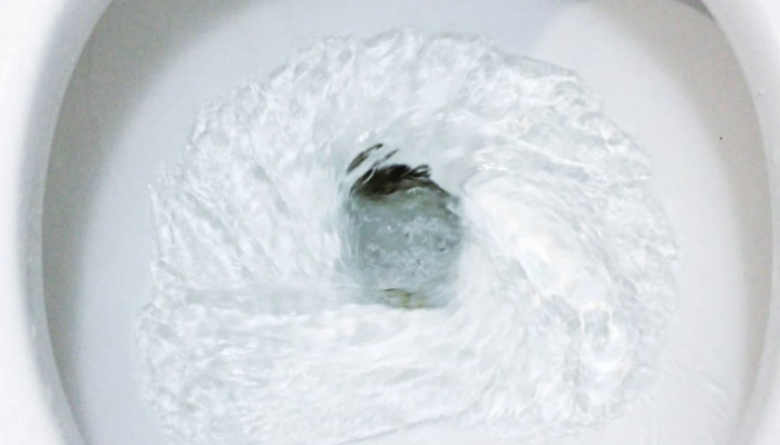Agua en el inodoro